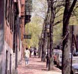 Streets should be provided with shade trees to create a comfortable walking experience.