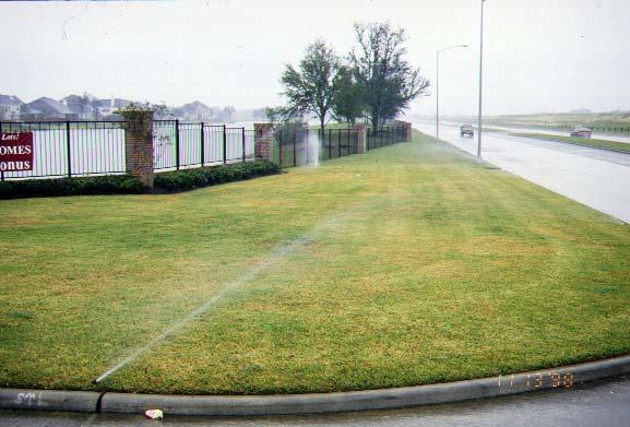 Irrigation in the rain?
