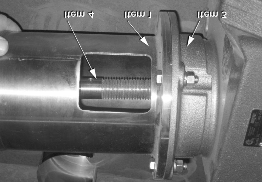 hollow gearmotor (Item 3) output shaft.