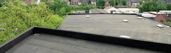 2 3 50 YEARS PRACTICAL EXPERIENCE ON THE ROOF PLEASED TO MEET YOU ROOFING SYSTEMS CARLISLE Construction Materials has been producing EPDM membranes since the 1960 S.