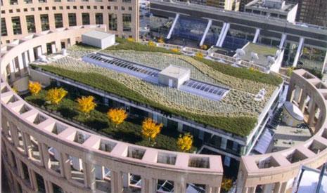 PAGE 2.continued from pg.1 Intensive green roof system Vancouver Public Library, Vancouver, BC Benefits Green roofs provide a wide variety of private and public benefits.