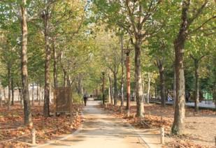 5 Visual analysis on the pedestrian paths This is one of major areas found in parks as it enables people to enjoy the beauty of the nature while sitting on the