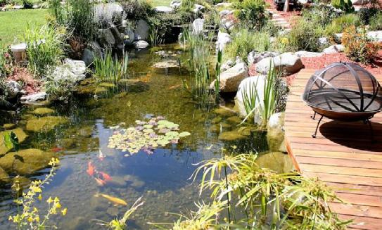What to Expect During Water Garden Installation If you re thinking about installing a pond you might be wondering what goes into the process.