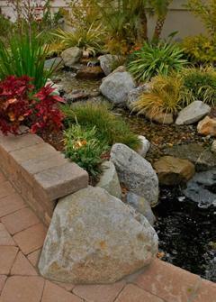 Water Garden Maintenance A pond that is given regular upkeep is easy to maintain. But there may be times (every 1-2 years), when you require a pond cleanout service.
