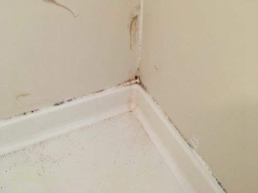 in wood decay. 7. Tub Tub was in good condition overall. 8. Shower Shower is in good condition overall. Shower door is in operable condition overall.