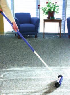 carpet damage caused by some wet cleaning methods.