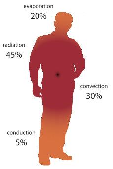 PRINCIPLES OF RADIANT COOLING BASIC PHYSICAL PHENOMENA HUMAN COMFORT - Heat emission from the human body occurs through four modes of transfer: - Conduction (~5%) - Evaporation (~20%) - Convection