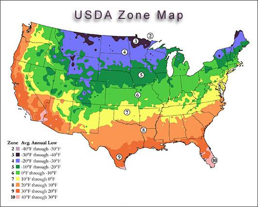 USDA Zone 9 (Not As