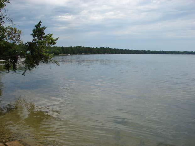 Aquatic Vegetation of Grace Lake (DOW