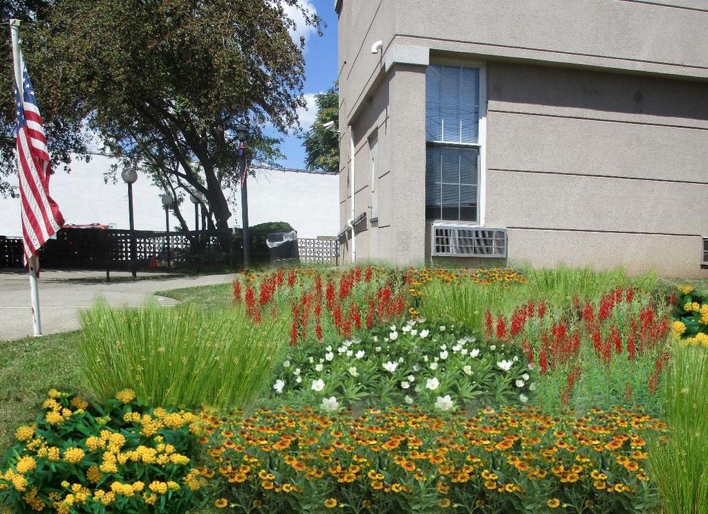 Current Projects AristaCare at Alameda Rain garden project Captures water from facilities rooftop Provides garden space