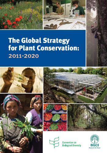 Targets Global Strategy for Plant