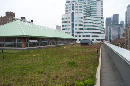 Benefits of Green Roofs Common Benefits Urban Heat Island, (2-3C or 4-6F) (Asphalt 70C, White PVC 38C, Green Roof 32C) Biodiversity, Air Quality Food Production, Storm Water Management (major driver