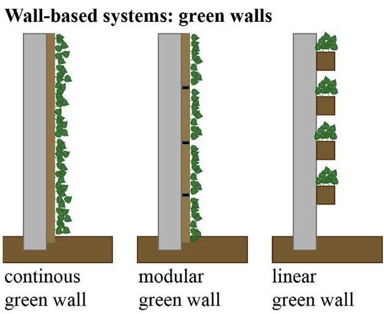 Vertical greening