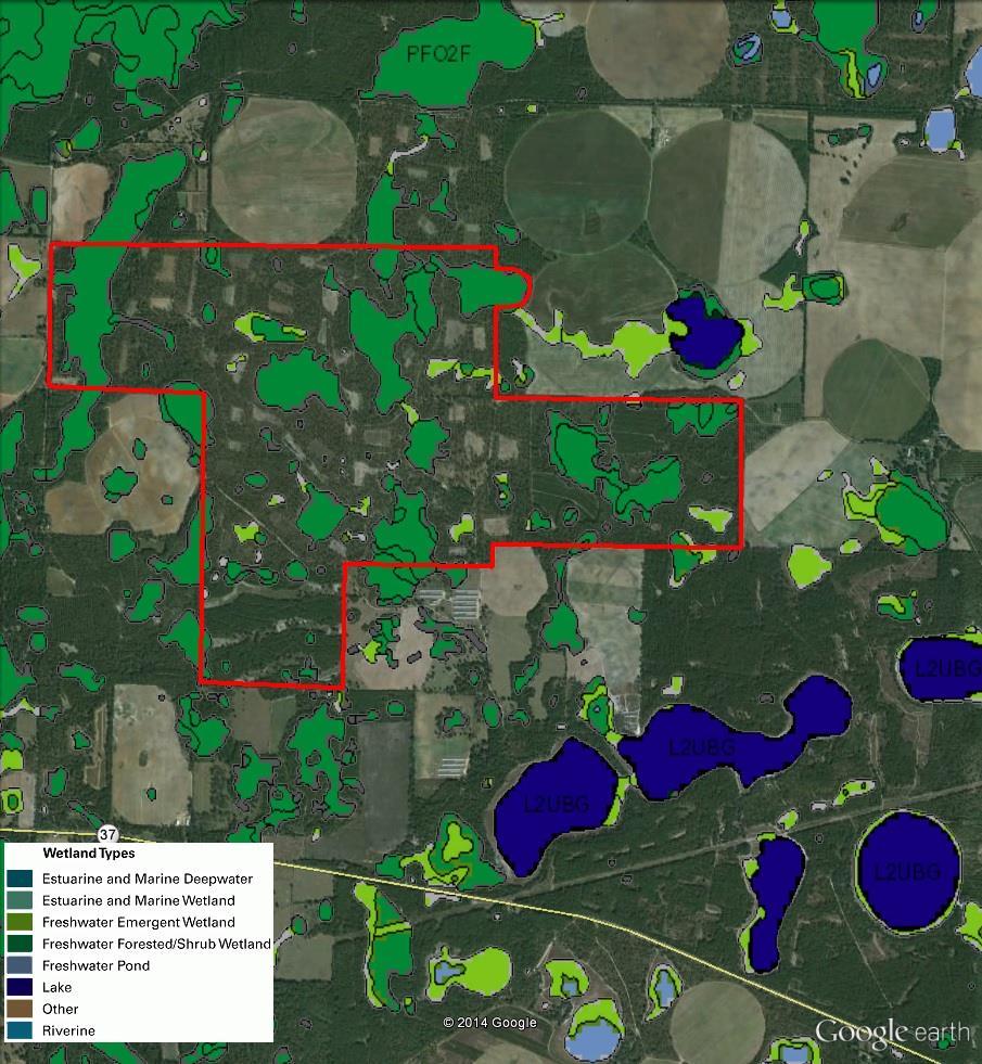 9 Wetlands Map Source: Google Earth Professional Area Measuring Tool & FWS Wetlands & Riparian interface: