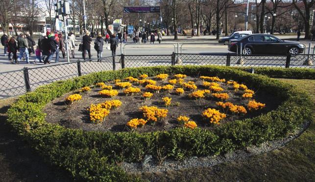 The number of perennials that were planted amounted to 782. In addition to the new flowerbeds, improvements were made in the flowerbeds located in various city districts.