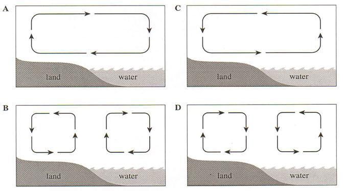 3. Which of the following diagrams correctly