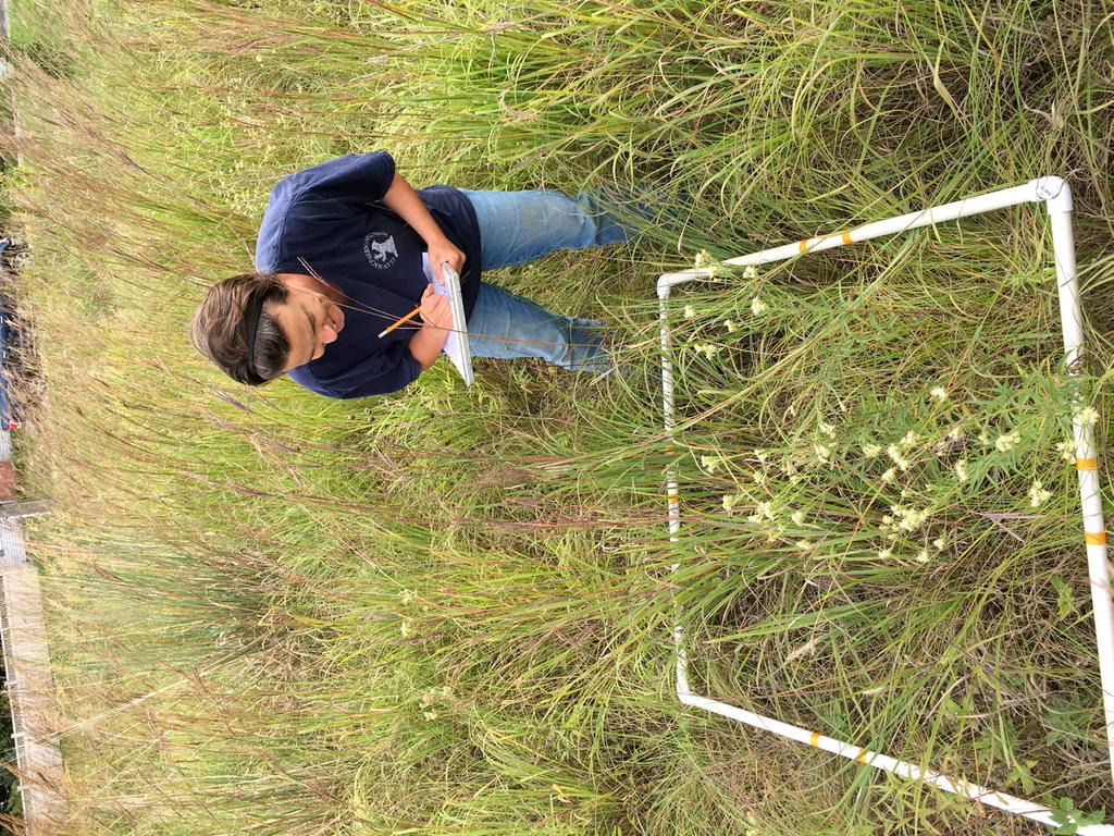 september 2017 Methods We worked with a group of scientists from around the world (called the Nutrient Network) to figure out how the addition of excess nutrients changes grassland plant communities.