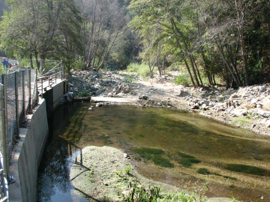 Upper Arroyo Seco Restoration Key Project Components: Pasadena Water &