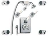 flow control (also available wl 5002 for jets, dish and shower kit