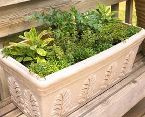! Use the same type of potting soil, don t use soil from the ground Use the