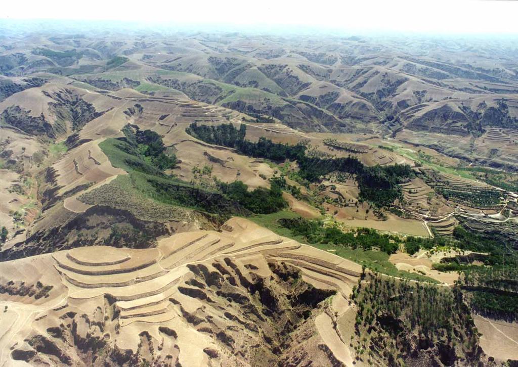 The soil and water conservation effects and key issues by conservation tillage in Loess Plateau HAO Mingde