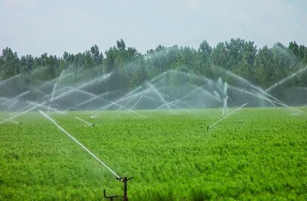 Improves Wetting property by reducing surface tension. Spray Performance increases by 35%. Spray water quality affects the performance of agrochemicals mixed I it when applied.