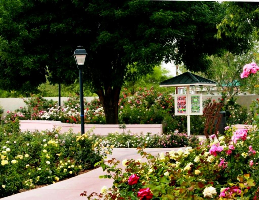 Dining Experience The Rose Garden at The
