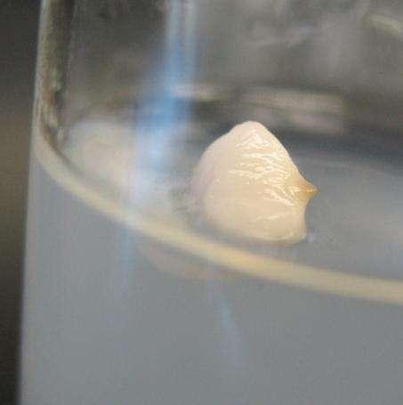 Embryo Rescue Takes place in sterile tissue culture Provides