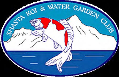 Shasta Koi and Water Garden Club 23694 Springwood Way Millville, Calif 96062 ShastaKoiClub.