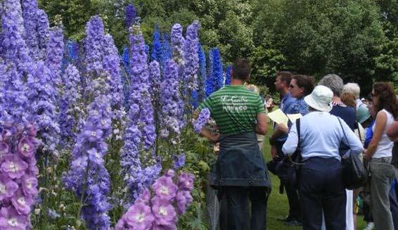 AGM AGM DELPHINIUM INVITED SEED TRIAL FINAL REPORT 2008 (An RHS Invited Trial) Delphinium Open Day 25 June 2008 Trial Entries: Objectives: Judging: Recording: Cultivation: There were 46 entries in