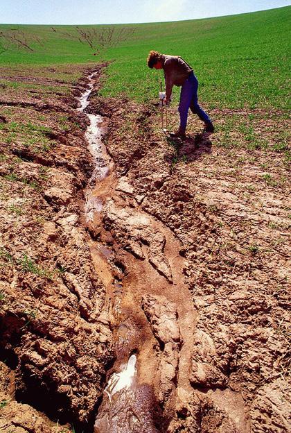 Development of soil crust reduces