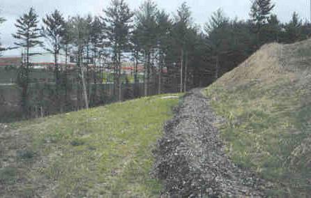 Examples of compost filter berms. exceeding 3 inches in length.