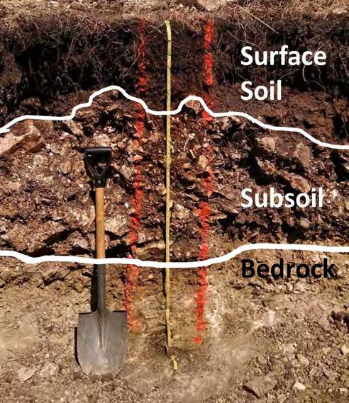 11. Pits should be dug large enough so contestants have a good view of the soil and all parts of the soil profile. A pit five to six feet deep is usually adequate.