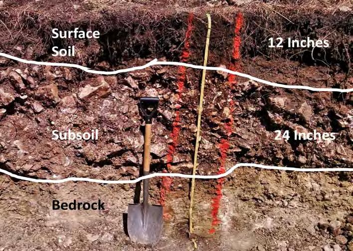 Once it has been decided where the surface soil stops and the subsoil begins, the thickness should be measured at the tape from the surface to this point (Table 1).