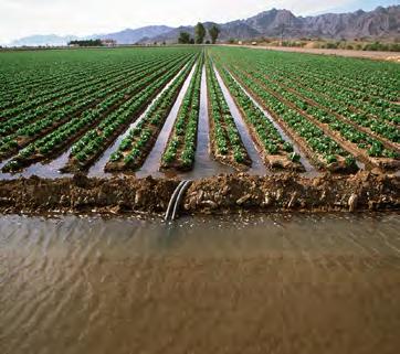 Irrigation Courtesy of USDA