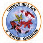 New Shipment of Japanese Tosai and Water Plants for Spring E Large selection of hand picked Japanese Koi & Fancy Goldfish E Authorized Dealer For; Aqua Ultra Violet UV filters and Ultima filter E W.