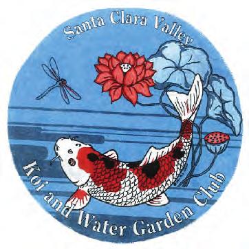The Newsletter of the Santa Clara Valley Koi and