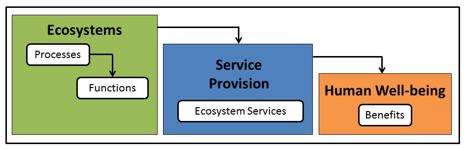 The Ecosystem Services Concept Böck et al. in review, based on Haines-Young and Potschin 2010 and Van Oudenhoven et al.