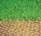NDS grass pavers are the ultimate product for promoting healthy turf in traffic areas as an alternative to aesthetically unpleasant concrete or asphalt pavements.