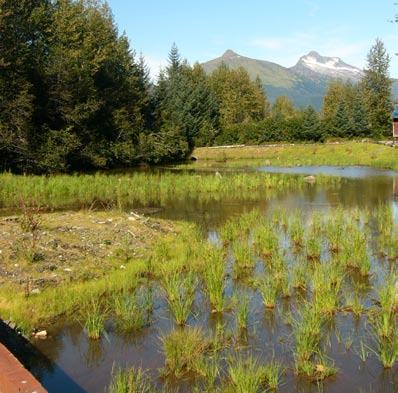 Wetponds can have wetland edges and swales can have depressions that are wetlands. Appropriate for subdivisions, commercial developments, can be used in parks and trail systems.