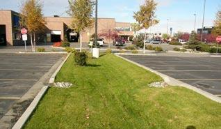infiltrate and treat stormwater through the construction of infiltration beds, swales, or bioretention beds.