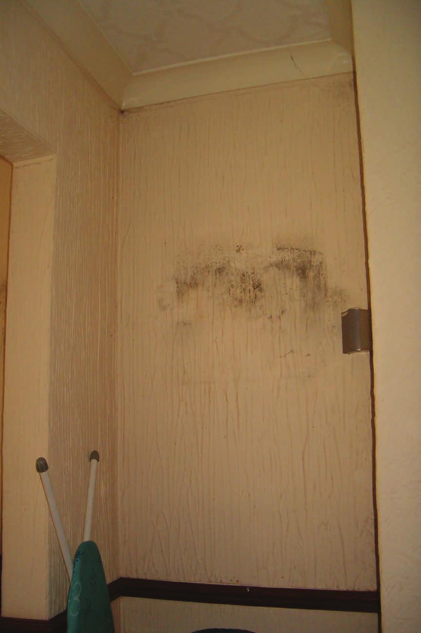 The Facts About Damp, Mould and