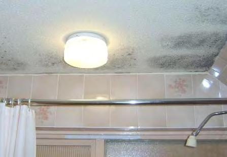 Water vapour is present everywhere and can be highly invasive Lack of Breathability and a build up of water vapour in our buildings not only cause rot, damp and structural failure, it is also a major