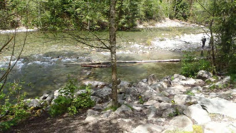 Ecopocket planting of riprap (May 02, 2017). Streamside Protection Fence PROJECT NAME.