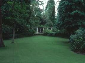 With proper care even shady lawns can perform well.