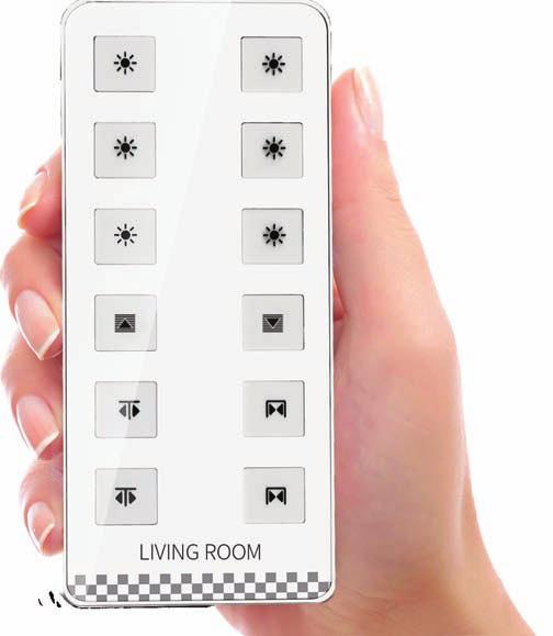 Multiple curtains can also be controlled from a single remote.