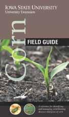 Soybean Disease & Pest ManageMent Field Guide Soybean Soybean CySt nematode management Field Guide Weed