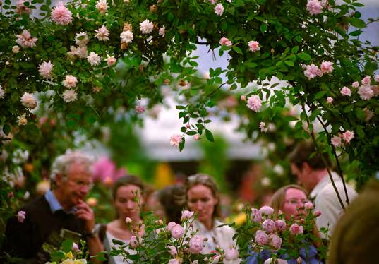 CHELSEA FLOWER SHOW & GARDENS OF WESTERN ENGLAND MAY 17 TO 25, 2014 photo by celia johns. photo by >sunshine<. Chelsea Flower Show, London. DEPART U.S.A. Saturday, May 17 Depart the U.S.A. on an overnight flight to London.