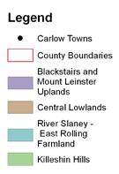 Figure 5 Principal Landscape Character Areas The Landscape Character Areas are: Central Lowlands River Slaney - East Rolling Farmland Blackstairs and Mount Leinster Uplands Killeshin Hills 45