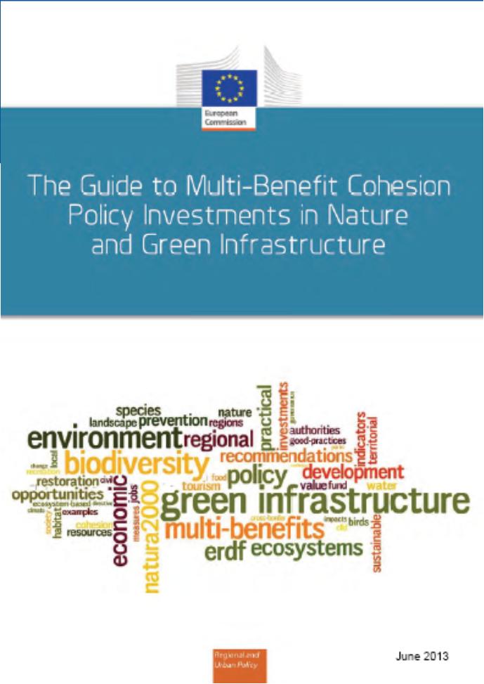GI guidance Technical guidance setting out how Green Infrastructure will be integrated into the implementation of the main policies and their associated funding mechanisms Already available: Options